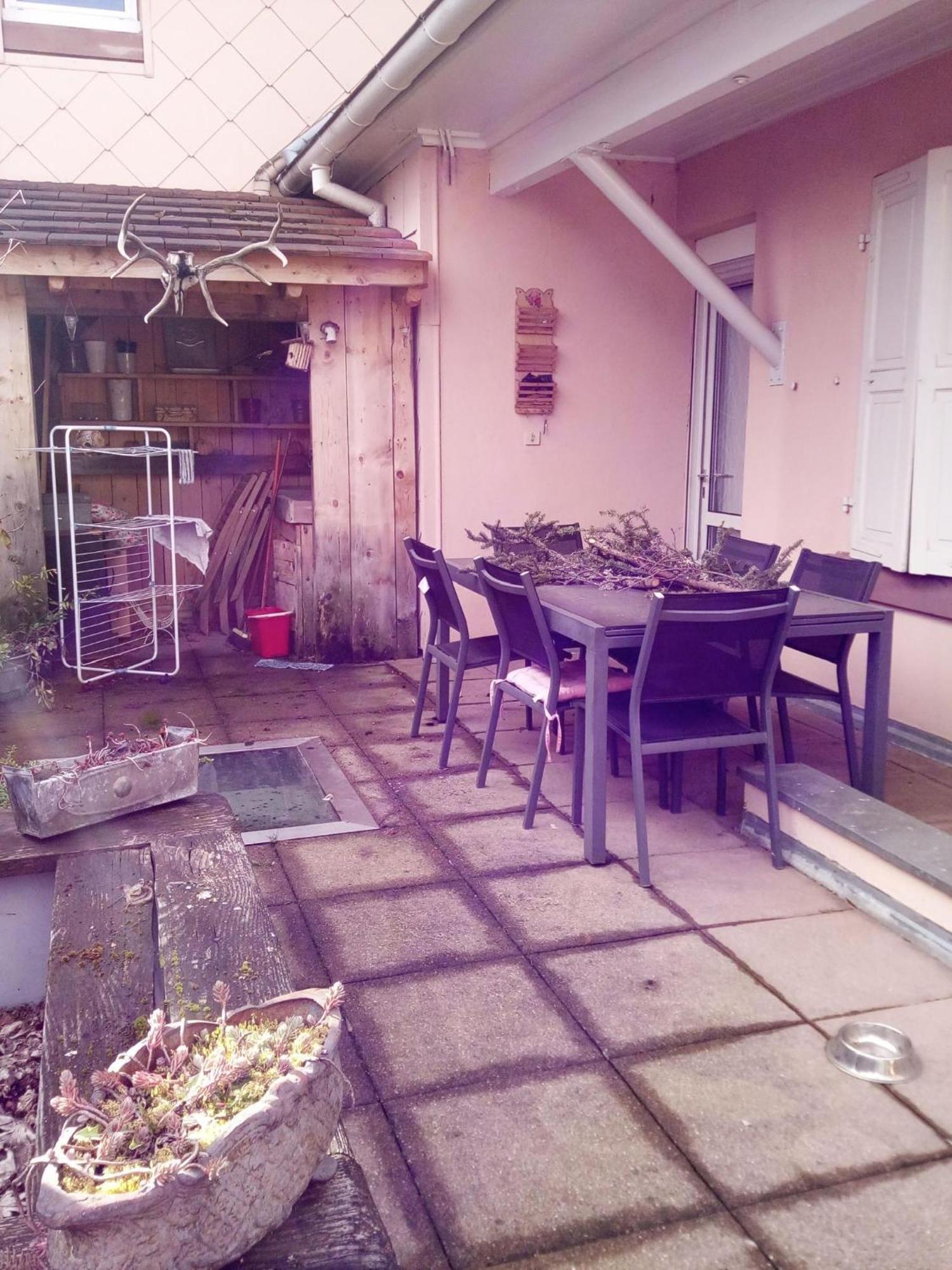 "Cote Nature", Appartement Cosy Au Coeur De Munster Munster  Exterior foto
